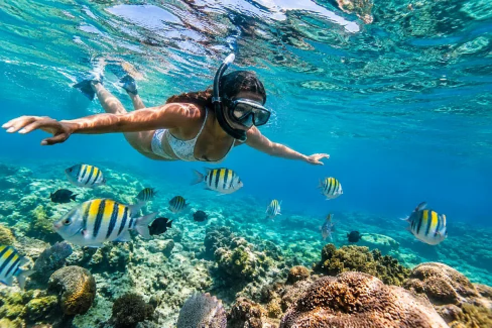 Guest snorkelling among tropical fish in clear Caribbean water on a Real Deal Boat Tours snorkelling adventure, Saint Lucia